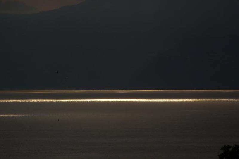 miroslavVajdic (135)